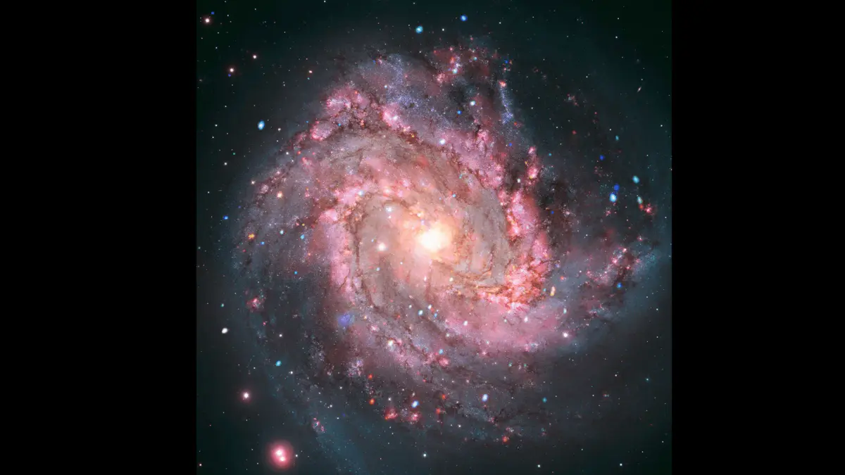Supernova-Feuerwerk in Messier 83 – X‑Ray‑Variabilität von Supernova‑Resten 15 Millionen Lichtjahre entfernt